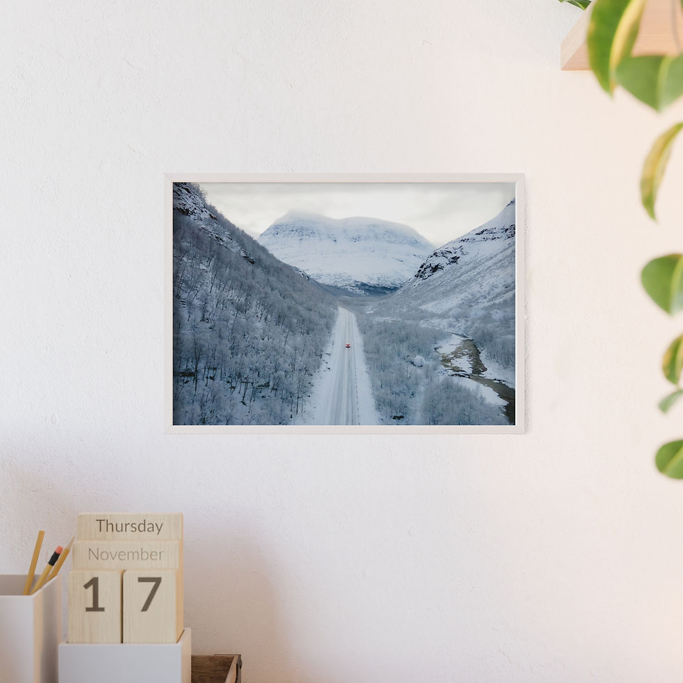 Miniature : Poster Drone Norvège