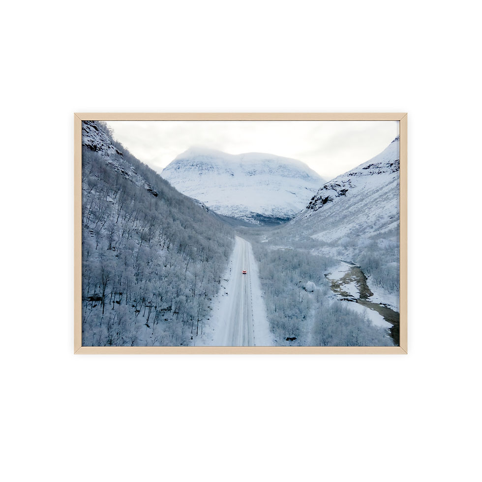 Miniature : Poster Drone Norvège