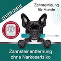emmi-pet_350.jpg