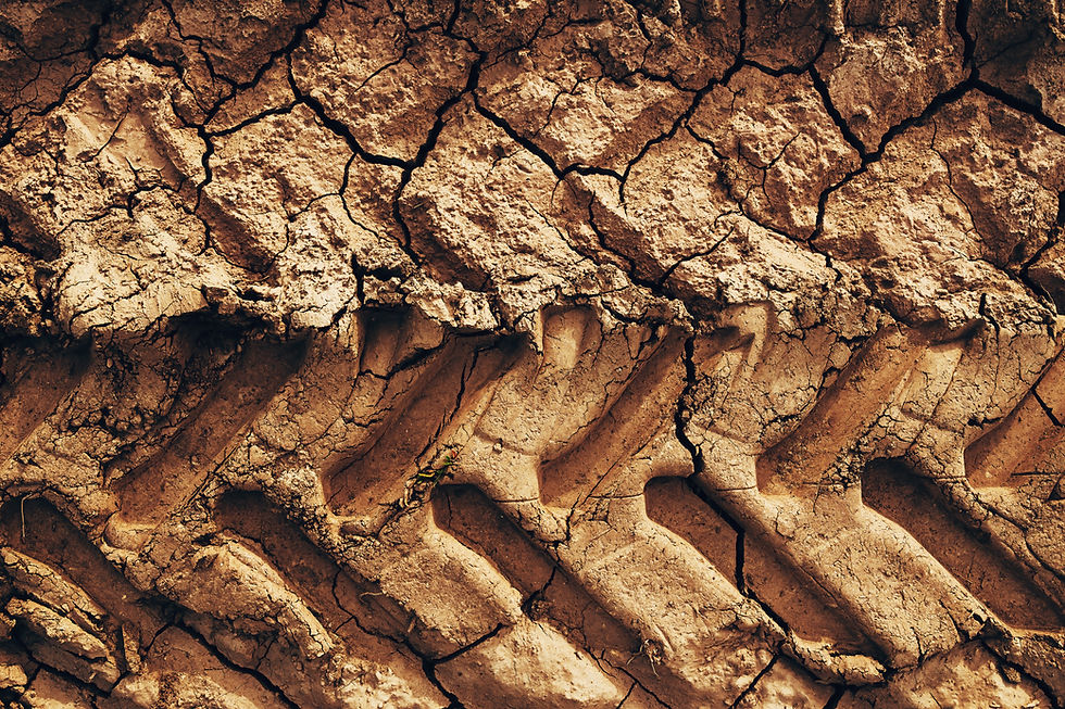 agricultural-tractor-tire-tread-marks-in-dried-mud-2026-01-08-22-54-18-utc.jpg