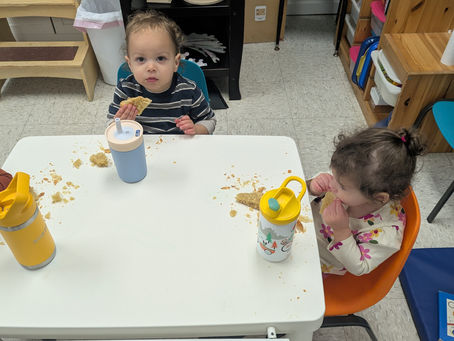 January 2026 Newsletter!!