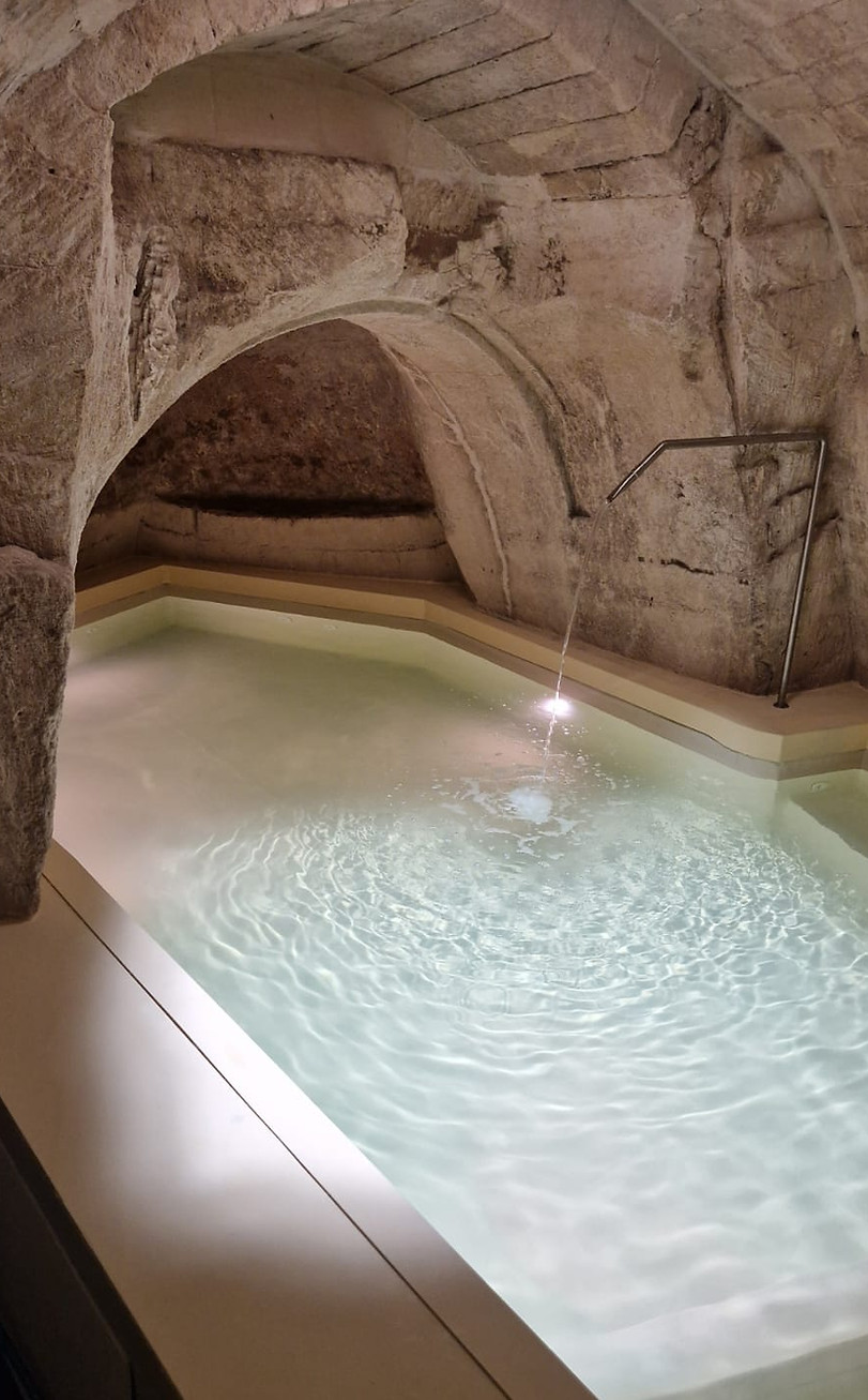 WhatsApp Image 2026-03-17 at 11.50.34.jpeg