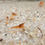 Thumbnail: Orange neocaridina shrimp available to purchase online