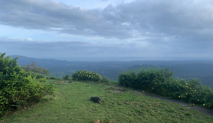 Lots in Campana, Chicá, Panamá