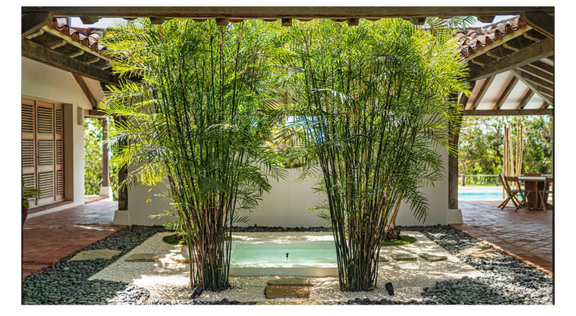 Mature tropical gardens surrounding Villa Alboran beachfront estate