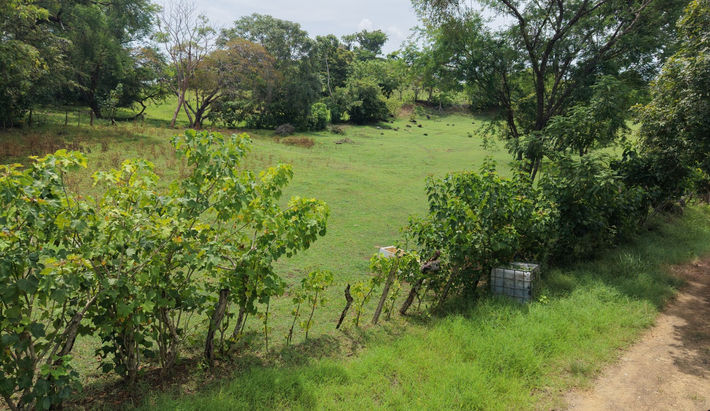 La Tiza lot with easy access to paved road near Las Tablas