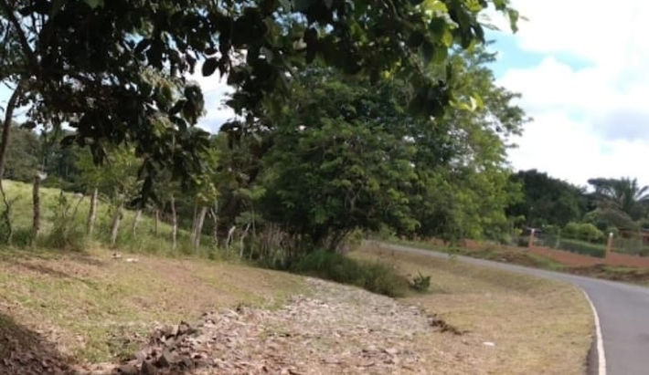 Finca La Chorrera, Panamá