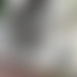 We’re a multilingual (Deutsch, English, Spanish, French), boots-on-the-ground real estate team focused on Panama’s coastal areas, especially the Azuero Peninsula, Pedasí, Playa Venao, Cañas and surroundings.