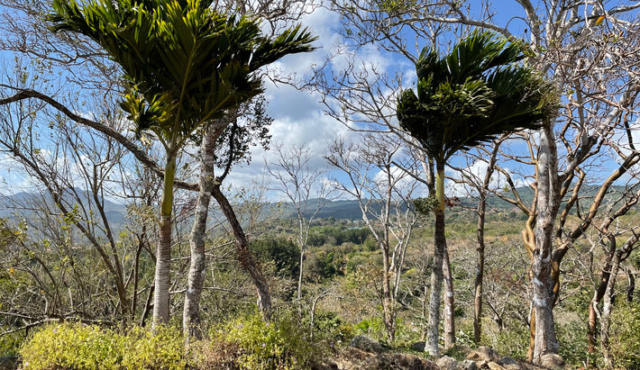 Lots in Campana, Chicá, Panamá