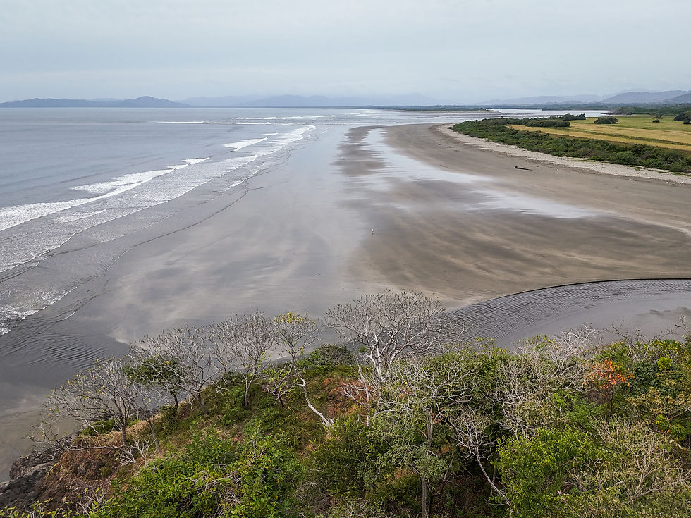 Cañas, Panamá, distrito de Pedasí