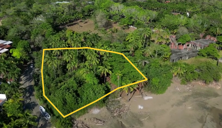 Tropical beachfront land with mature palms in Playa Los Destiladeros, Pedasí.