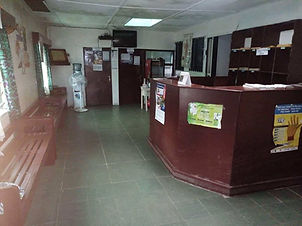 received95173810290206211.jpg