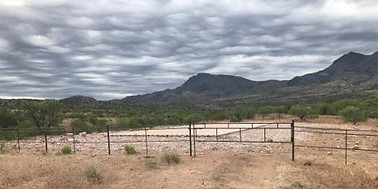 Completed WWD # 244.jpg