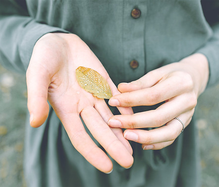 AdobeStock_420544204.jpg