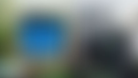 Whole House Water Filtration System