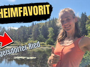 Thumbnail Dingelsdorfer Ried