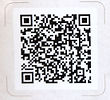 Stillbloom QR_edited.jpg