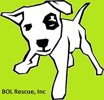 Barking Out Loud Rescue