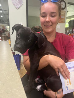 Successful Adoptions 7.2023 - 14.jpg