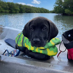 Successful Adoptions 7.2023 - 20.jpg