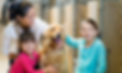 Pet Adoption.png