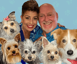 The Shevick Pack
