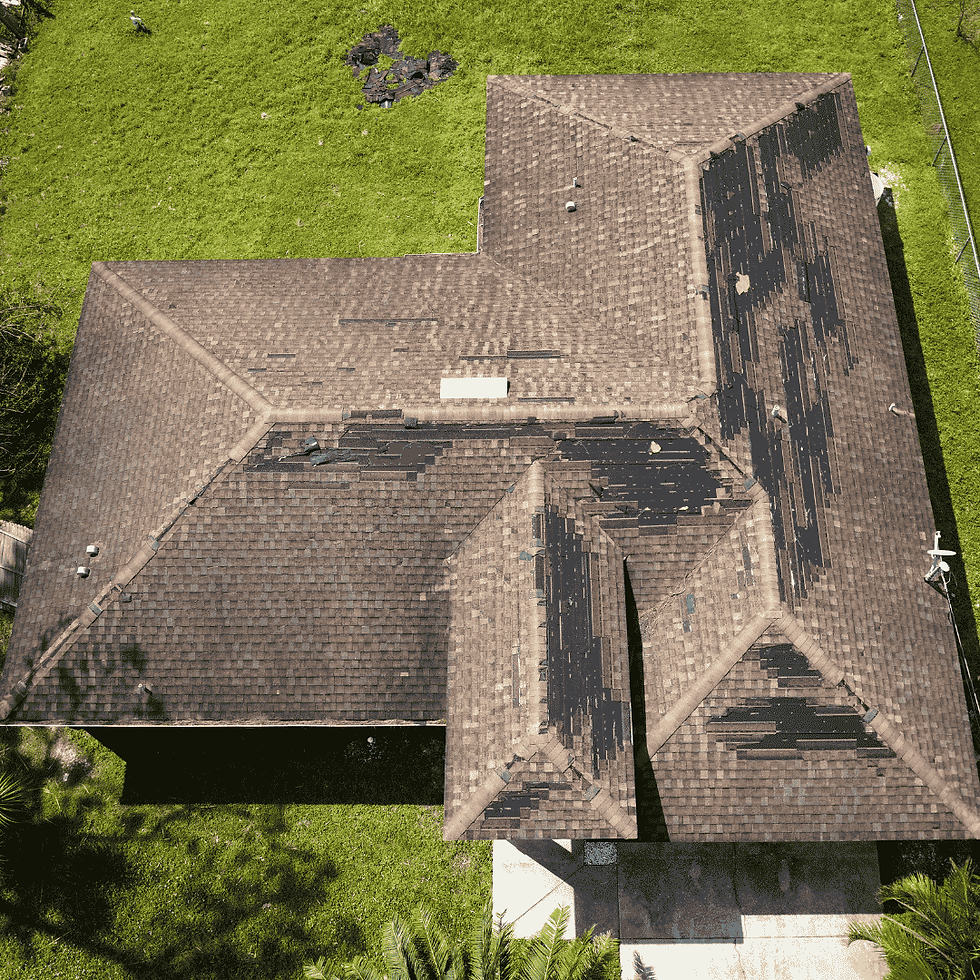Storm Damage (1).png