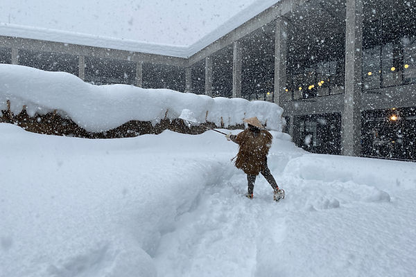 写真 2026-01-24 15 34 59.jpg