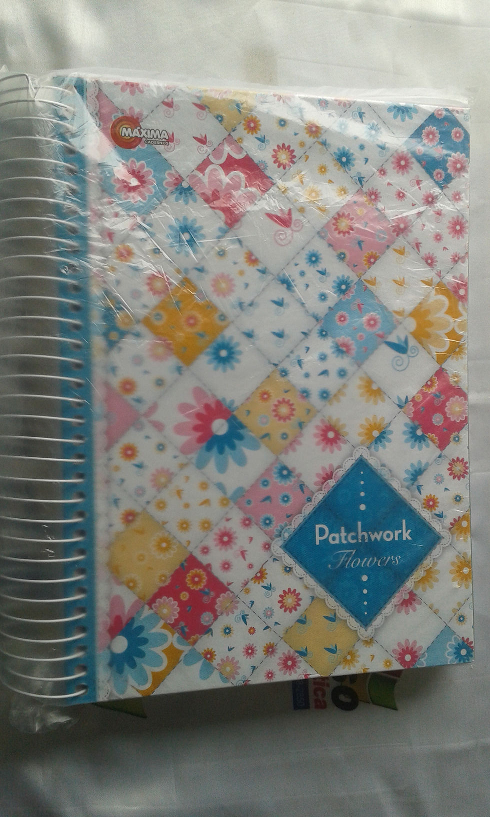 Caderno_Feminino_15_Matérias