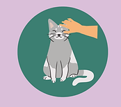 Garde de chat