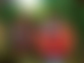 #AMReviews: DJ Khaled's Exhaustively Uninteresting "Father of Asahd" Album