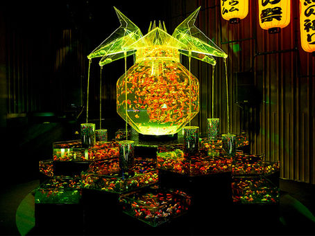 大政奉還150周年記念 アートアクアリウム城 豪華絢爛!