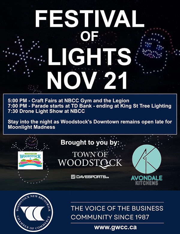 Festival of lights drone show 8x11_2_w.jpg