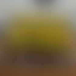 ESA sagra-se campeã do Troféu Federação em seniores feminino