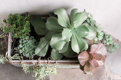 Sears-interior-274_copy