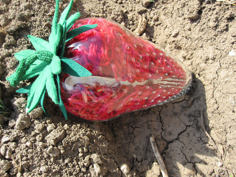Jus de Fraise