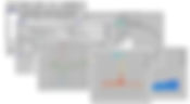 CCPS-Pros.com Reports Graphs