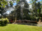 Emergency tree removal Whangarei