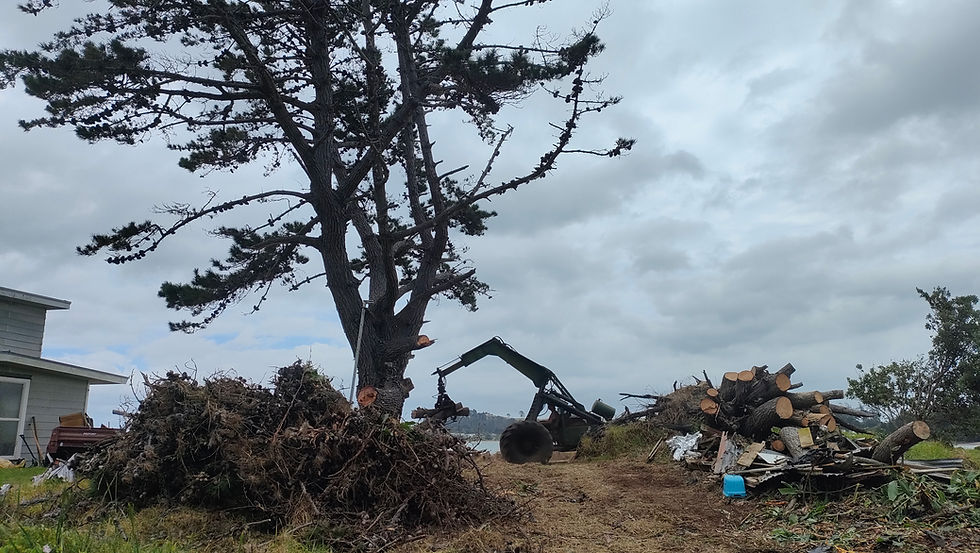 Property Tidy Up Services in Whangārei