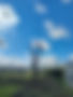 Tree Services Whangarei,Northland.jpg