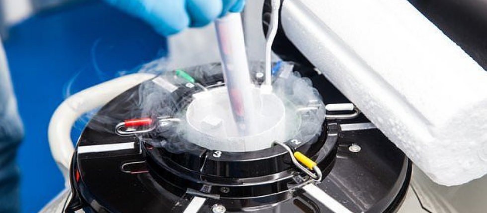 Technician placing sample into a cryopreservation tank.