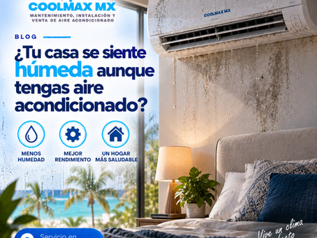 ¿Tu casa se siente húmeda aunque tengas aire acondicionado?
