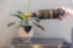 The Aston Manor Wine