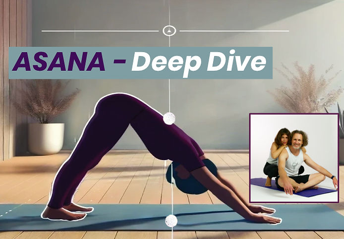 asanadeepdive.jpg