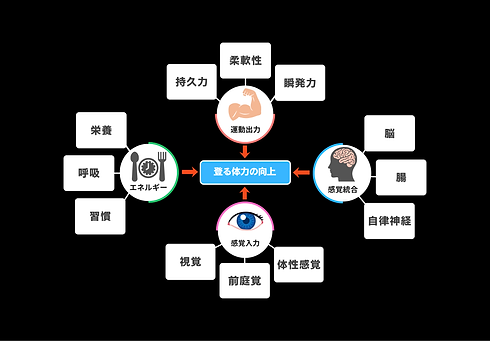 登山の体力向上に必要な要素