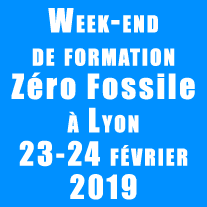 formation-zero-fossile.gif
