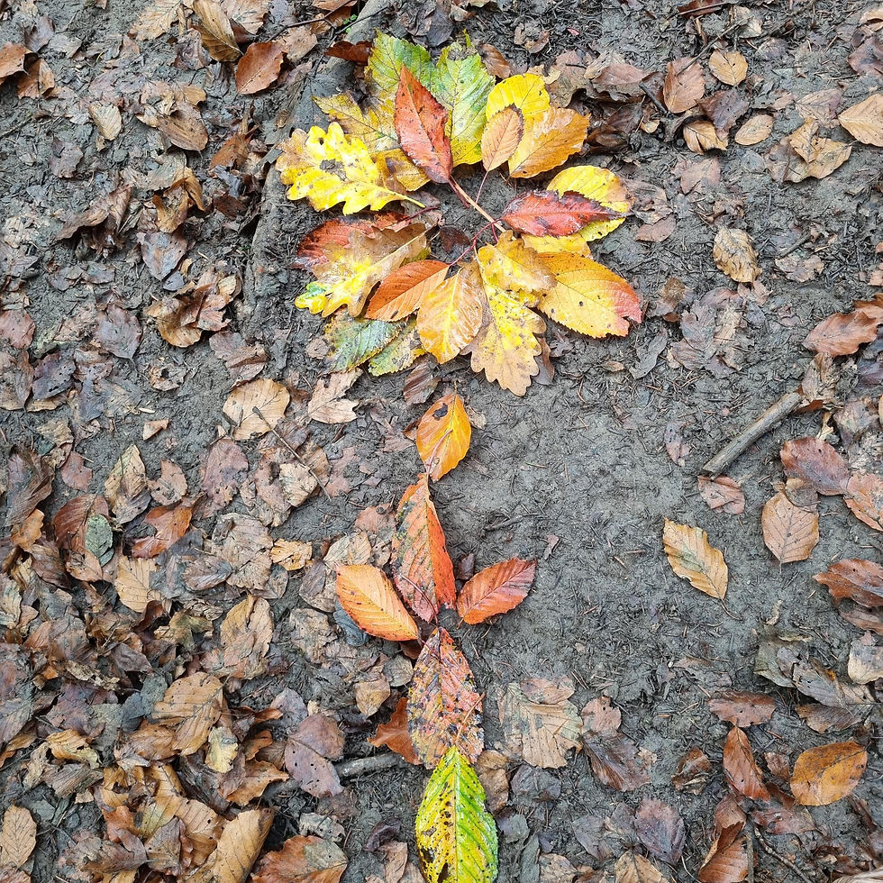 herbstblume