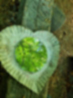 waldliebe