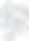 ymca-background-patterns-portrait-RGB_white.jpg