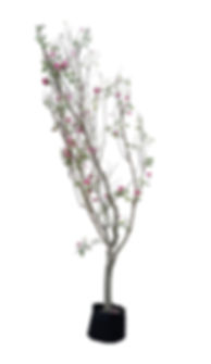 Árbol de Orquídea
